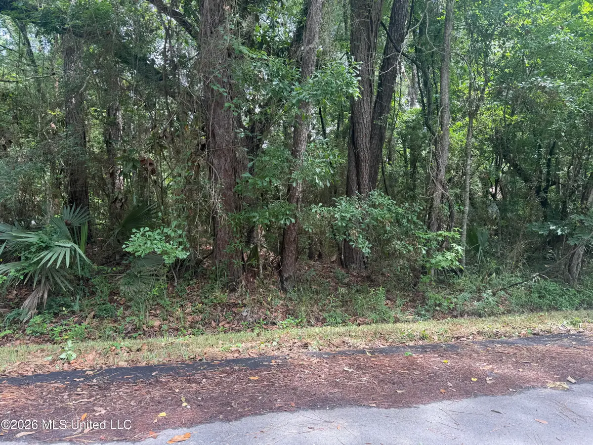 Lundy Williams Road, Moss Point, MS 39562 - #1