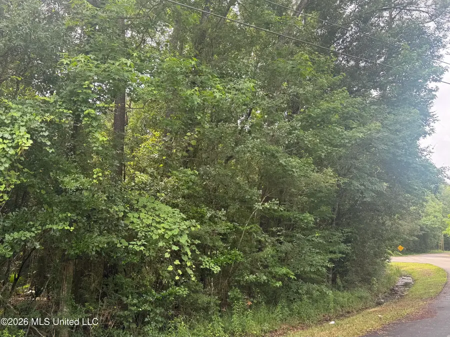 Lundy Williams Road, Moss Point, MS 39562 - #3