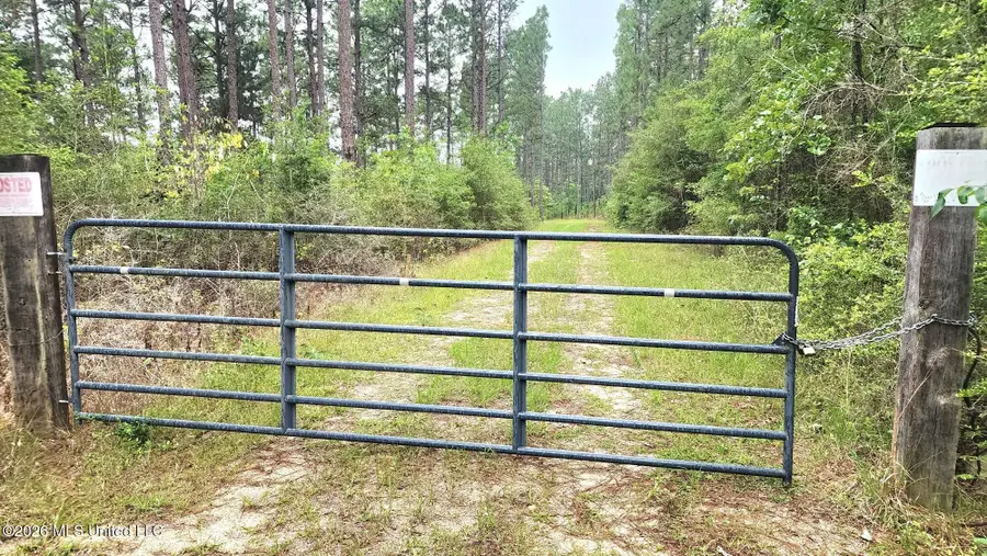 3 Guillen Drive, Poplarville, MS 39470 - #2
