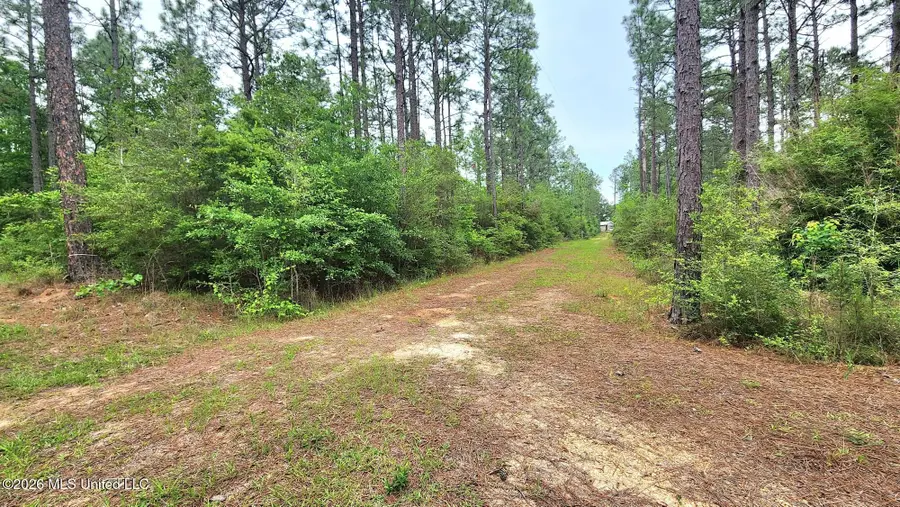 3 Guillen Drive, Poplarville, MS 39470 - #3
