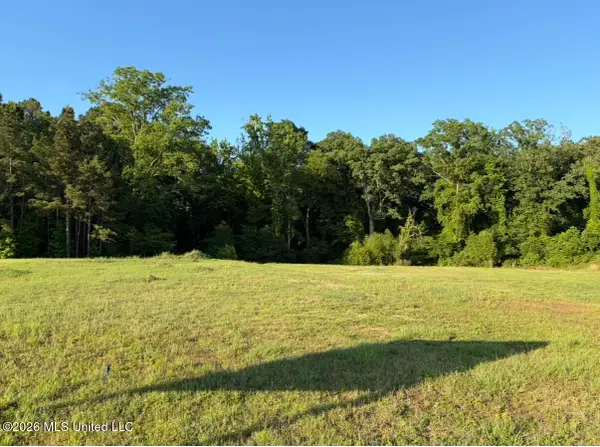 6599 Wirtz Road, Flowood, MS 39232