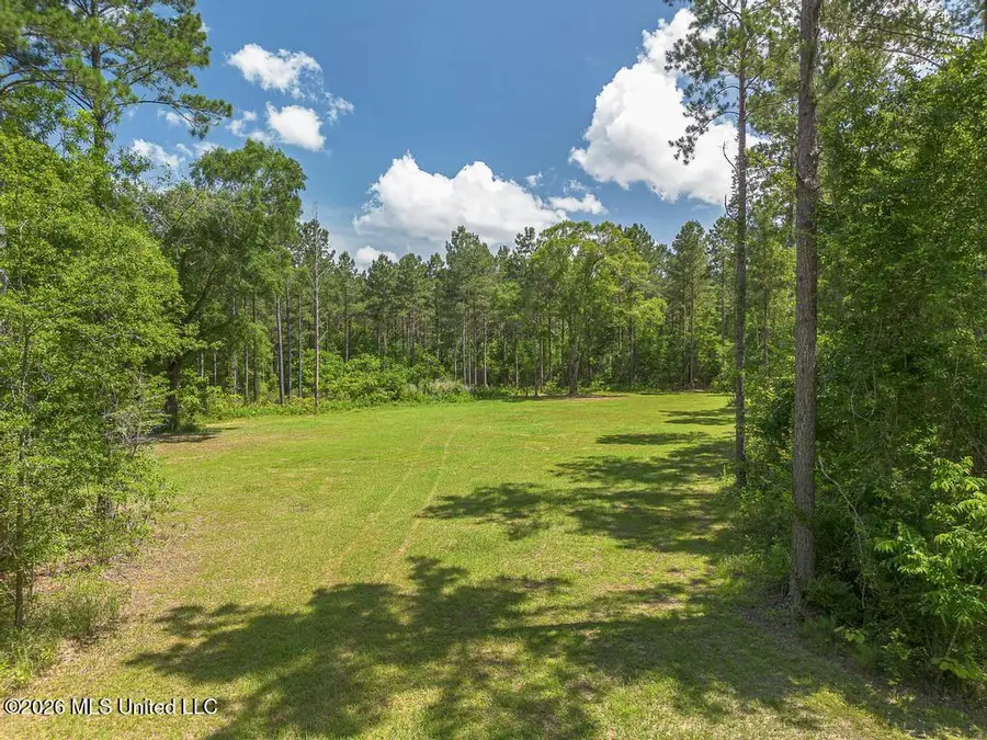 Blackwell Farm Road, Saucier, MS 39574 - #3