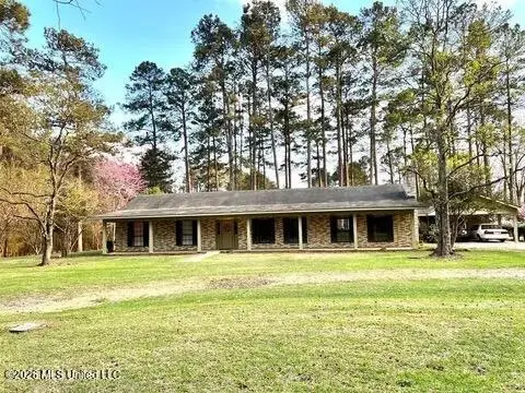 2216 Cane Creek Road, Centreville, MS 39631 - #1
