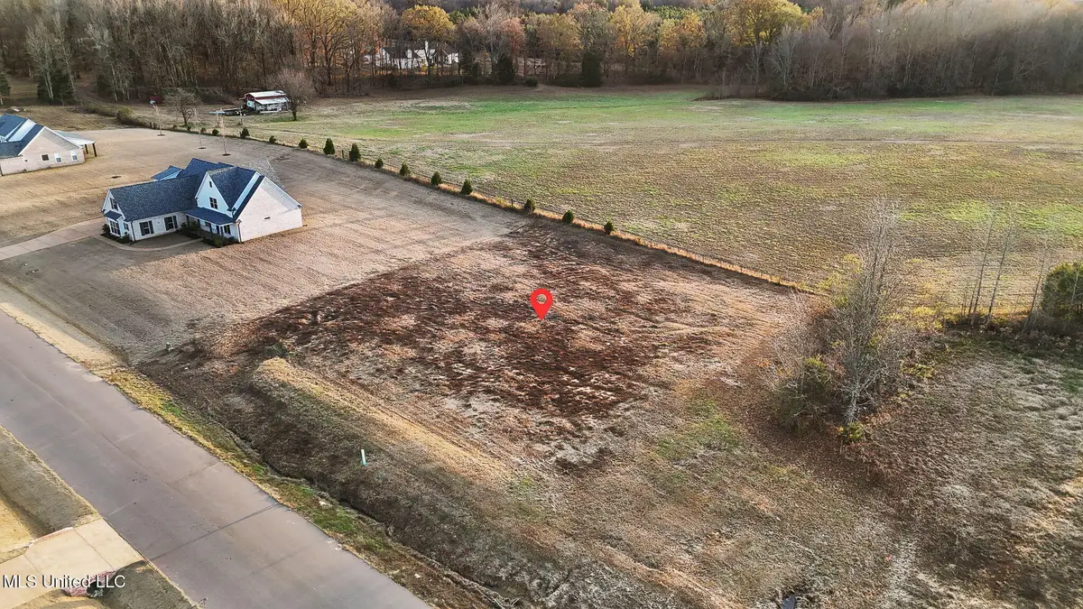 1505 Ashtons Lane, Hernando, MS 38632 - #1