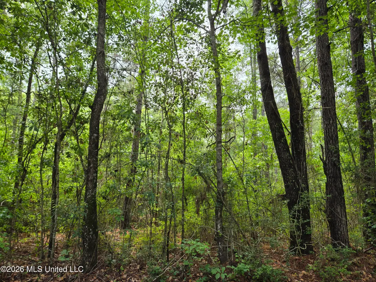 Harry Sones Road, Carriere, MS 39426 - #1