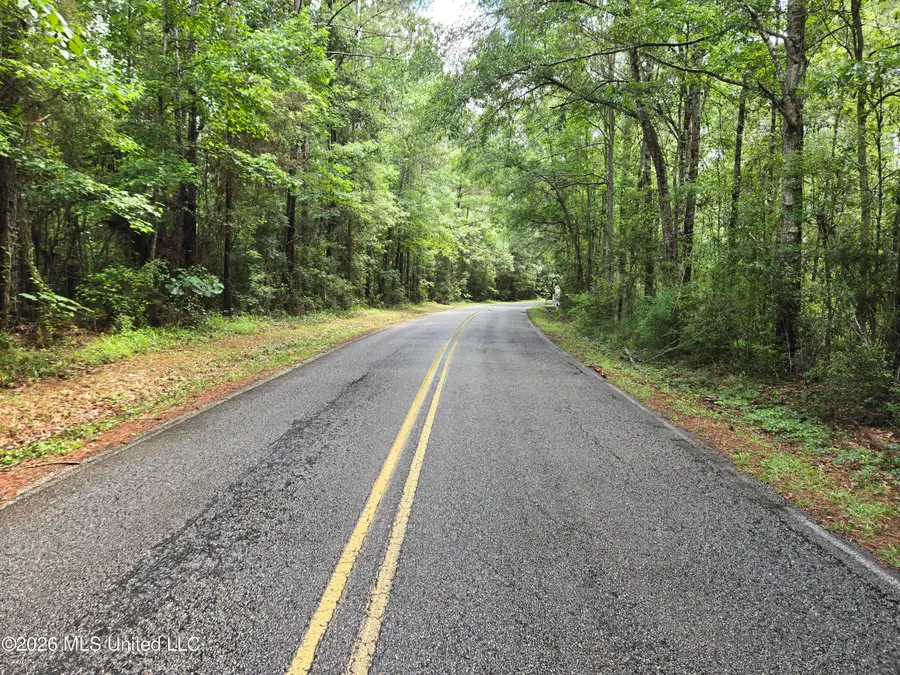 Harry Sones Road, Carriere, MS 39426 - #2