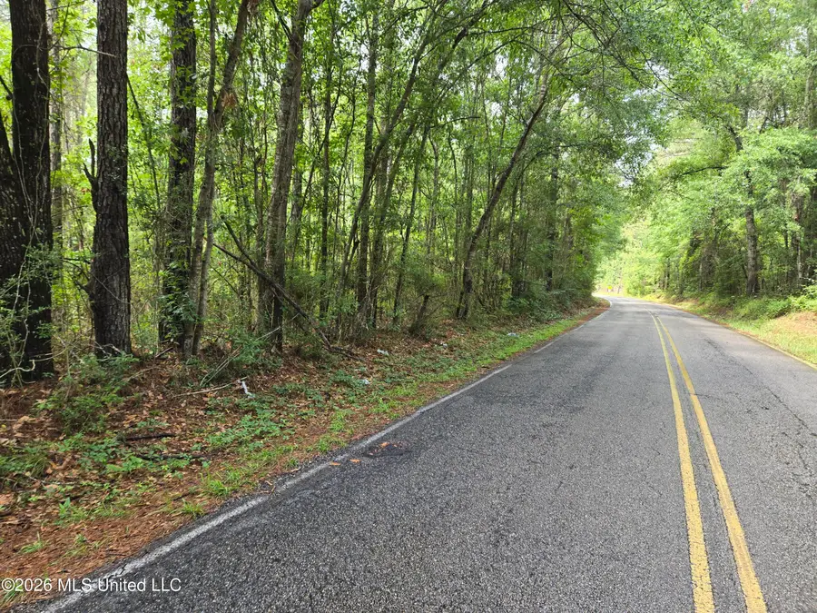 Harry Sones Road, Carriere, MS 39426 - #3