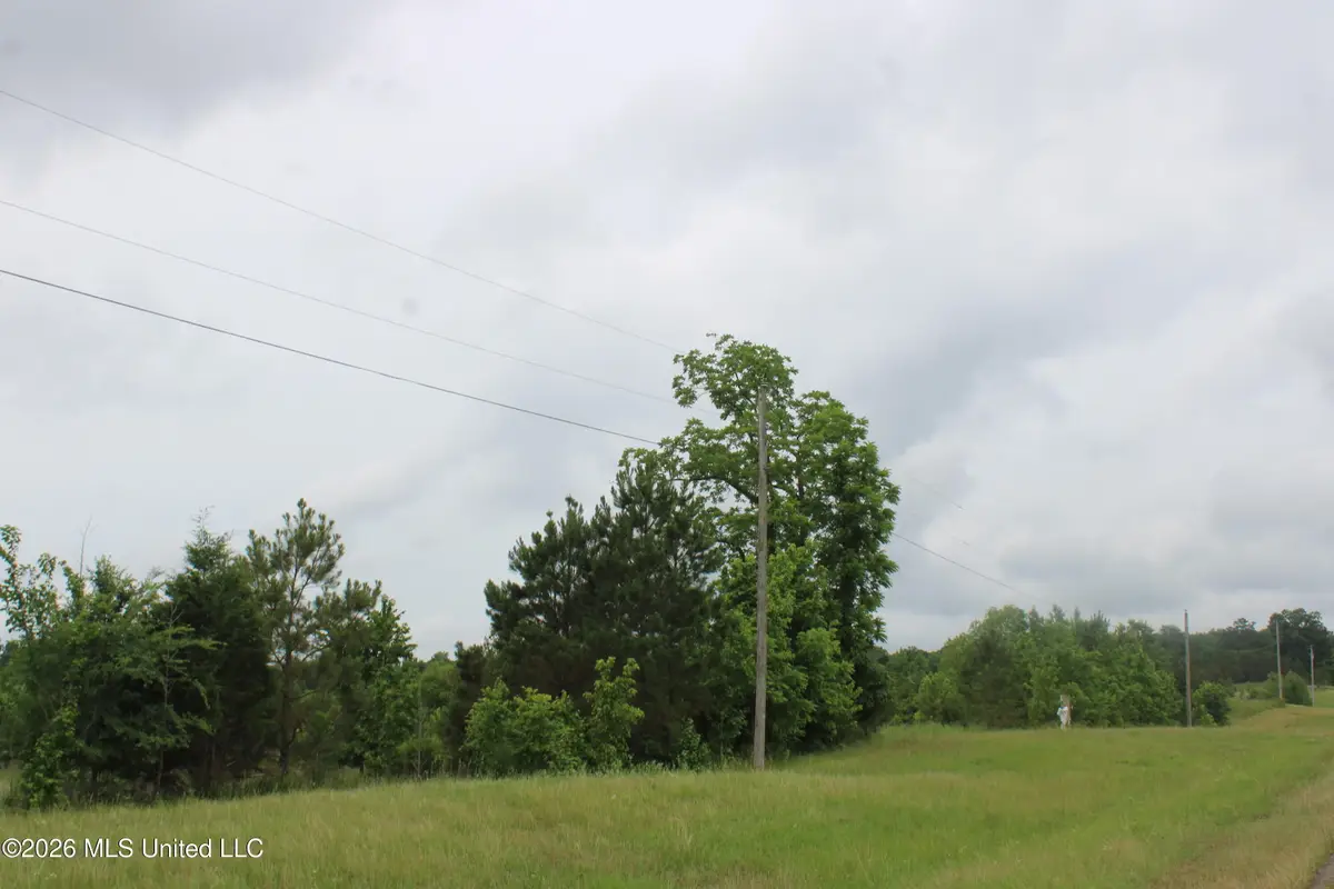 5 Eason Farm Road, Byhalia, MS 38611 - #1