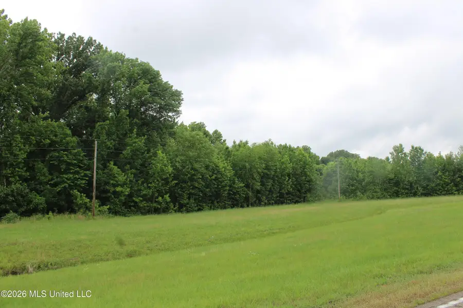7 Eason Farm Road, Byhalia, MS 38611 - #3