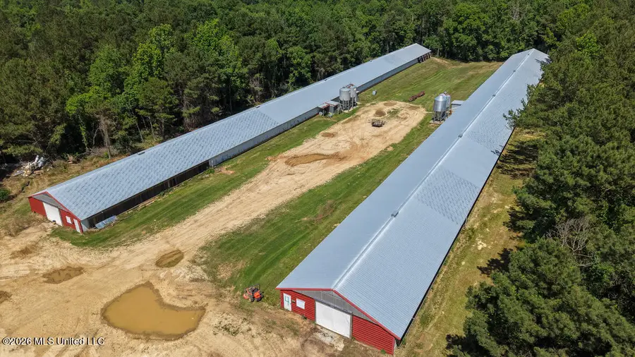 Smithtown Chicora Road, State Line, MS 39362 - #2
