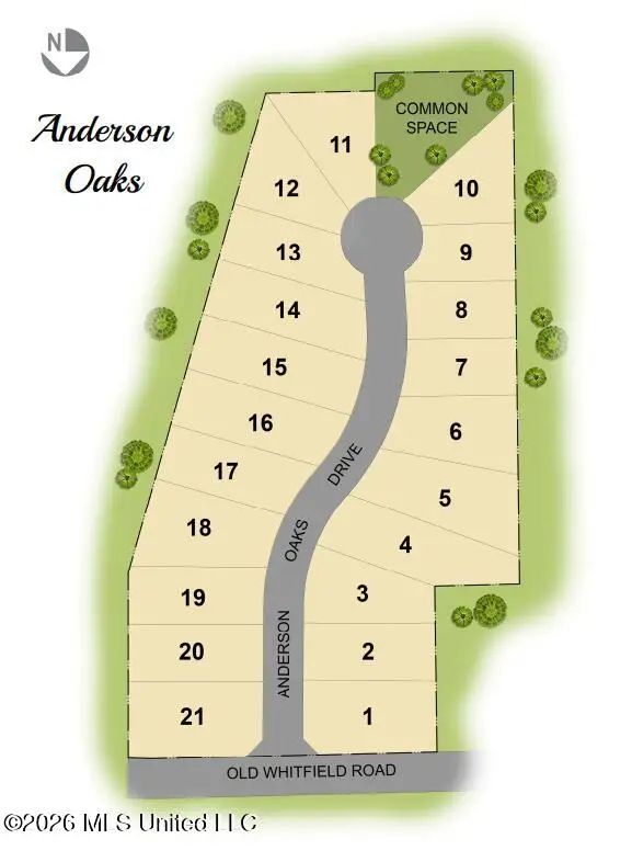 216 Anderson Oaks Drive, Pearl, MS 39208 - #2