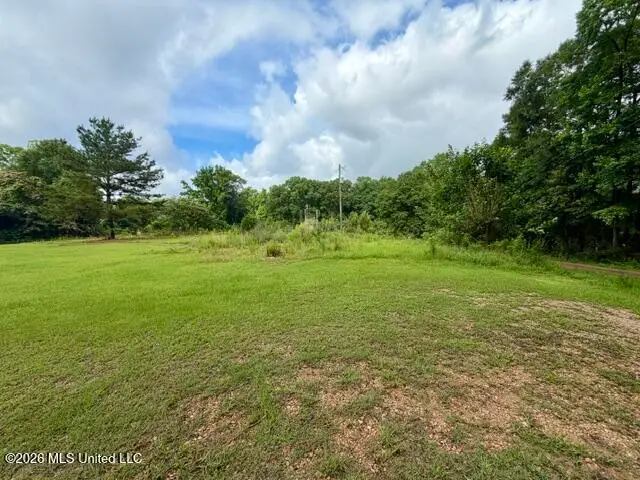 724 Vogel Street, McComb, MS 39648 - #2
