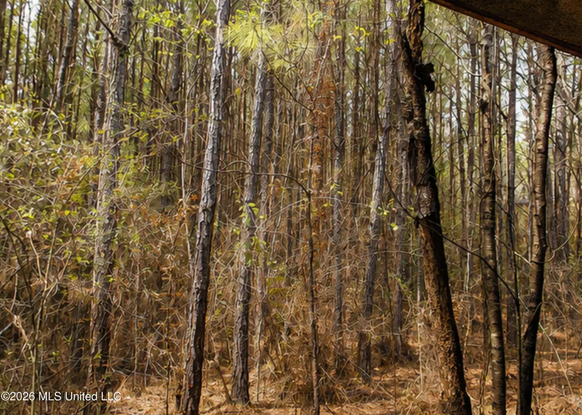 Church Street, Summit, MS 39666 - #1