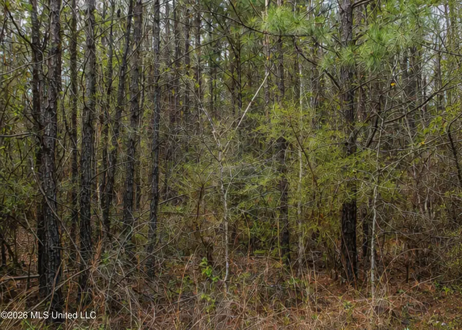 Church Street, Summit, MS 39666 - #3