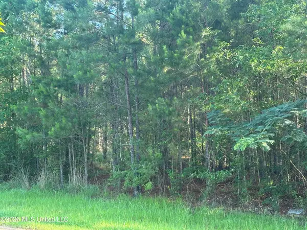 0 Shelby Road, Hermanville, MS 39086