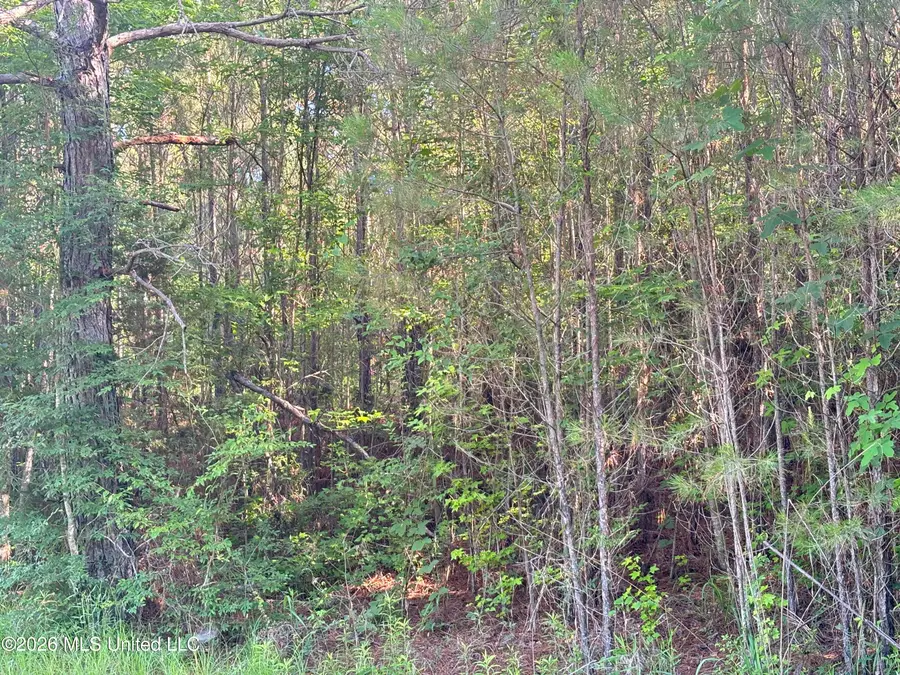 0 Shelby Road, Hermanville, MS 39086 - #2