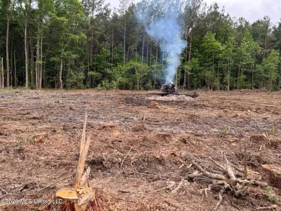 715 Old Pinola Braxton Road, Braxton, MS 39044 - #2