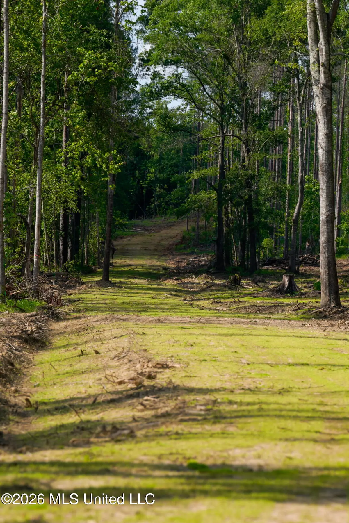 Lorance Road, Clinton, MS 39056 - #1