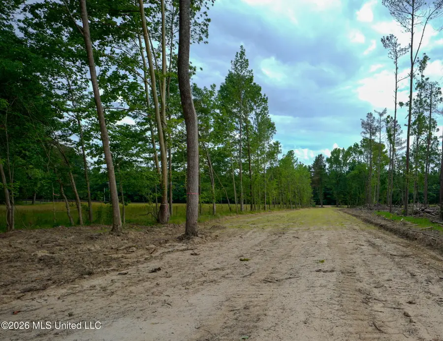 Lorance Road, Clinton, MS 39056 - #2