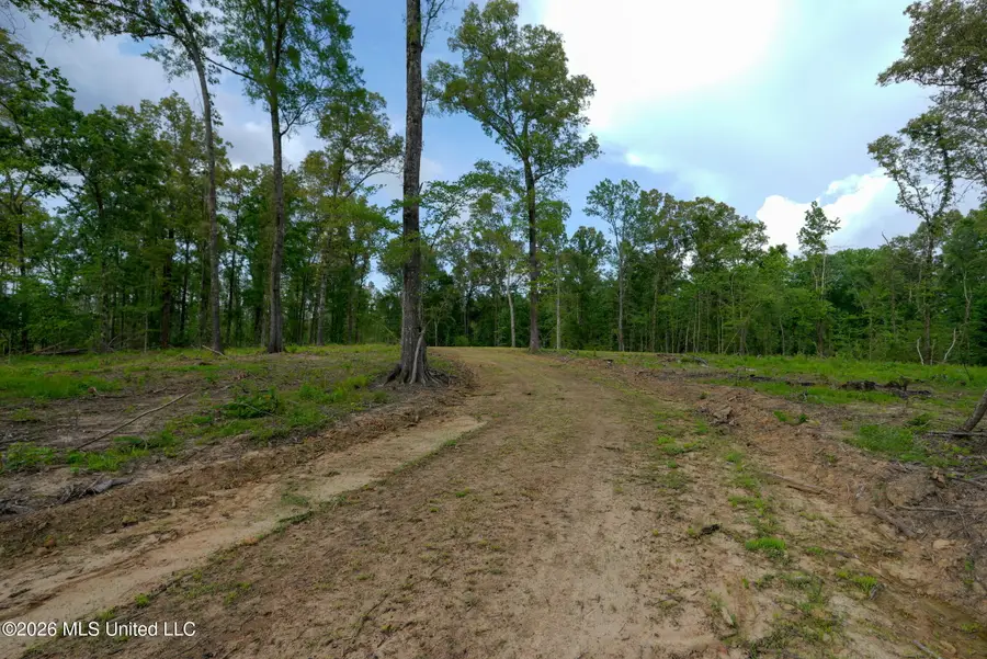 Lorance Road, Clinton, MS 39056 - #3
