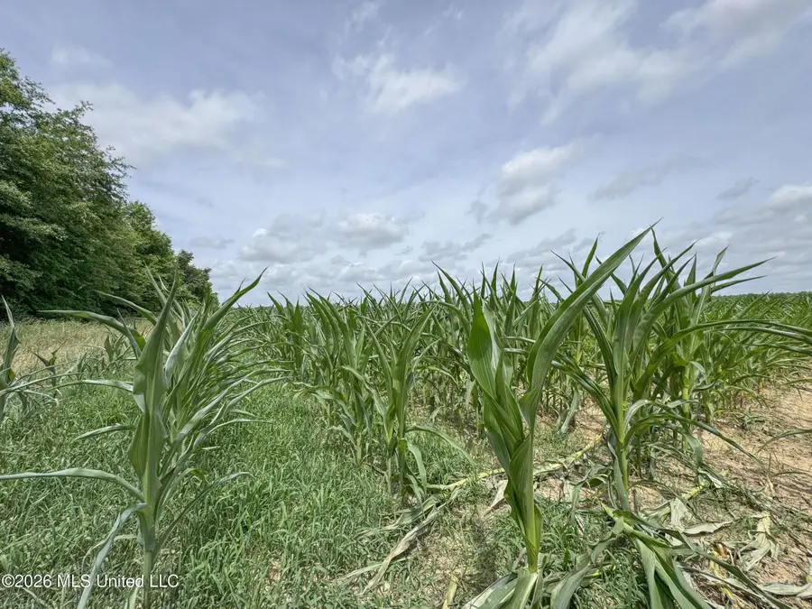 Dummyline Road, Crowder, MS 38622 - #2