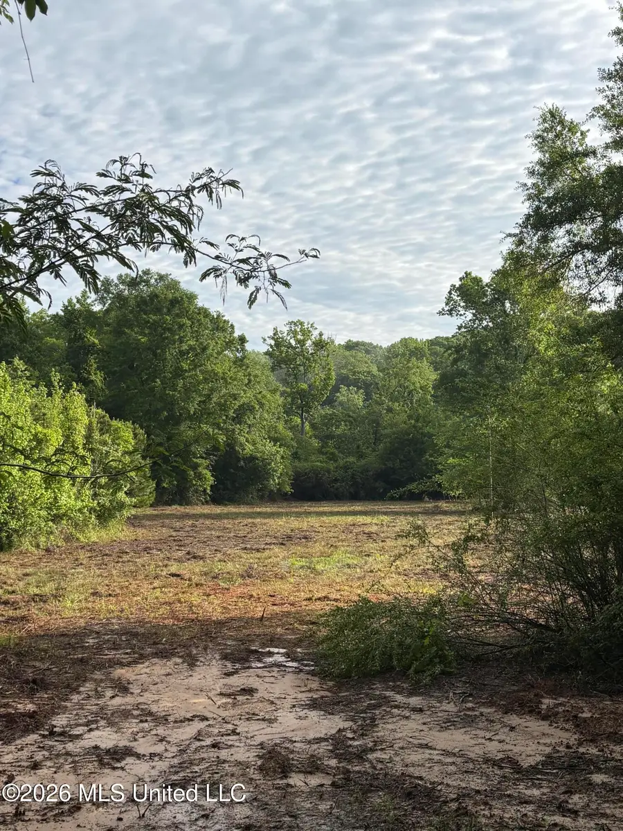 672-a31 Hines Road, Camden, MS 39045 - #3