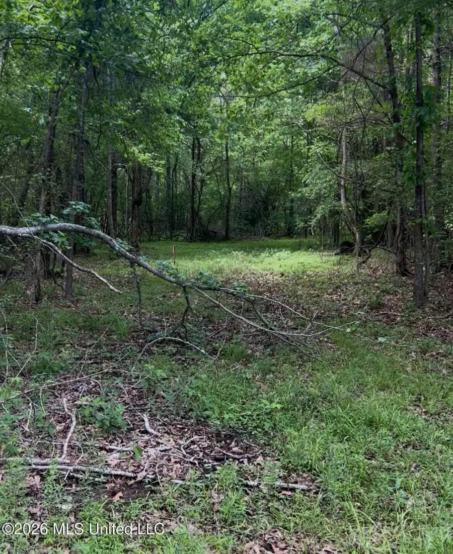 5235 Highway 51, Hernando, MS 38632 - #2