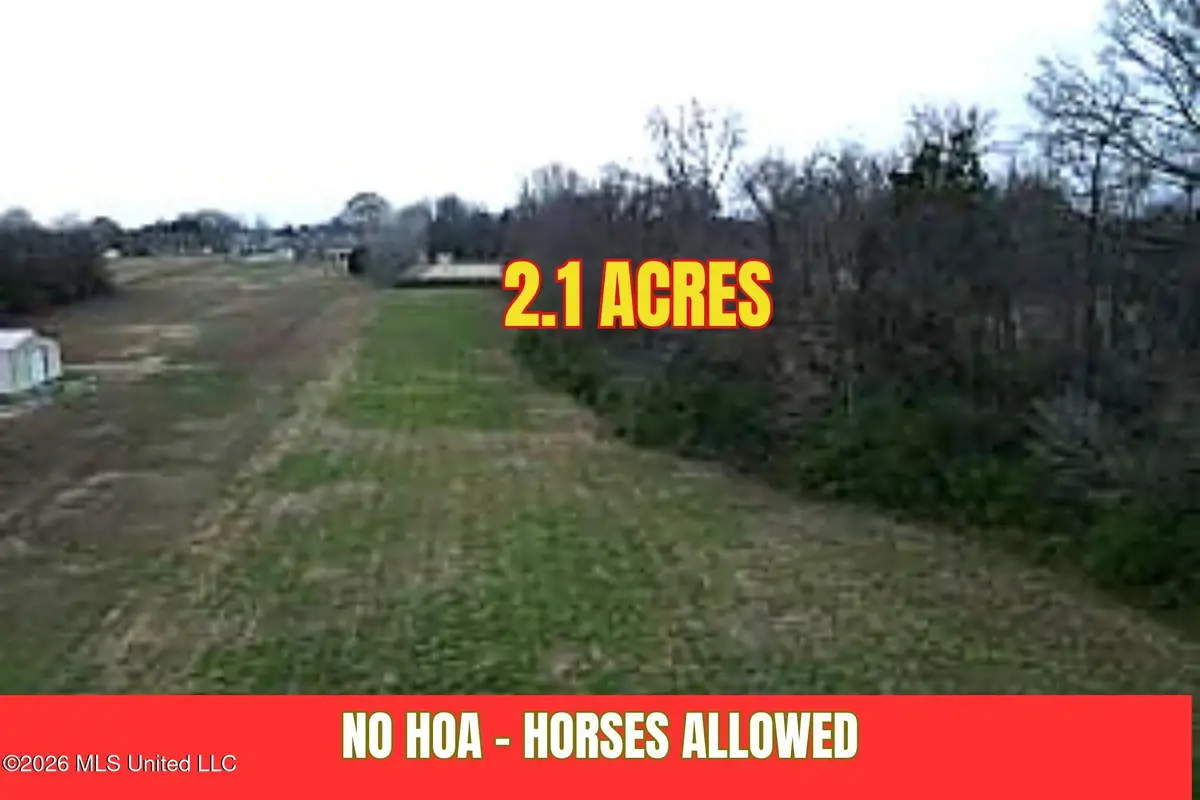 Moore Loop, Byhalia, MS 38611 - #1