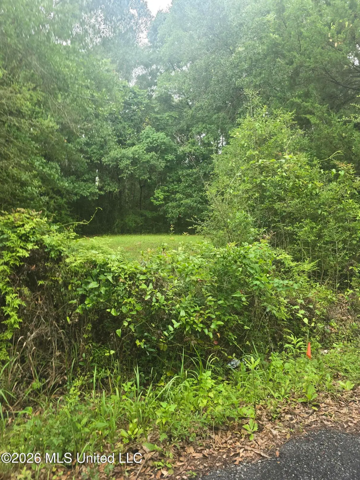 Elder Ferry Road, Moss Point, MS 39563 - #1