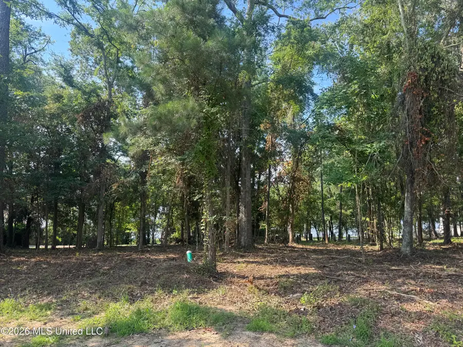 N Natchez Drive, Madison, MS 39110 - #2