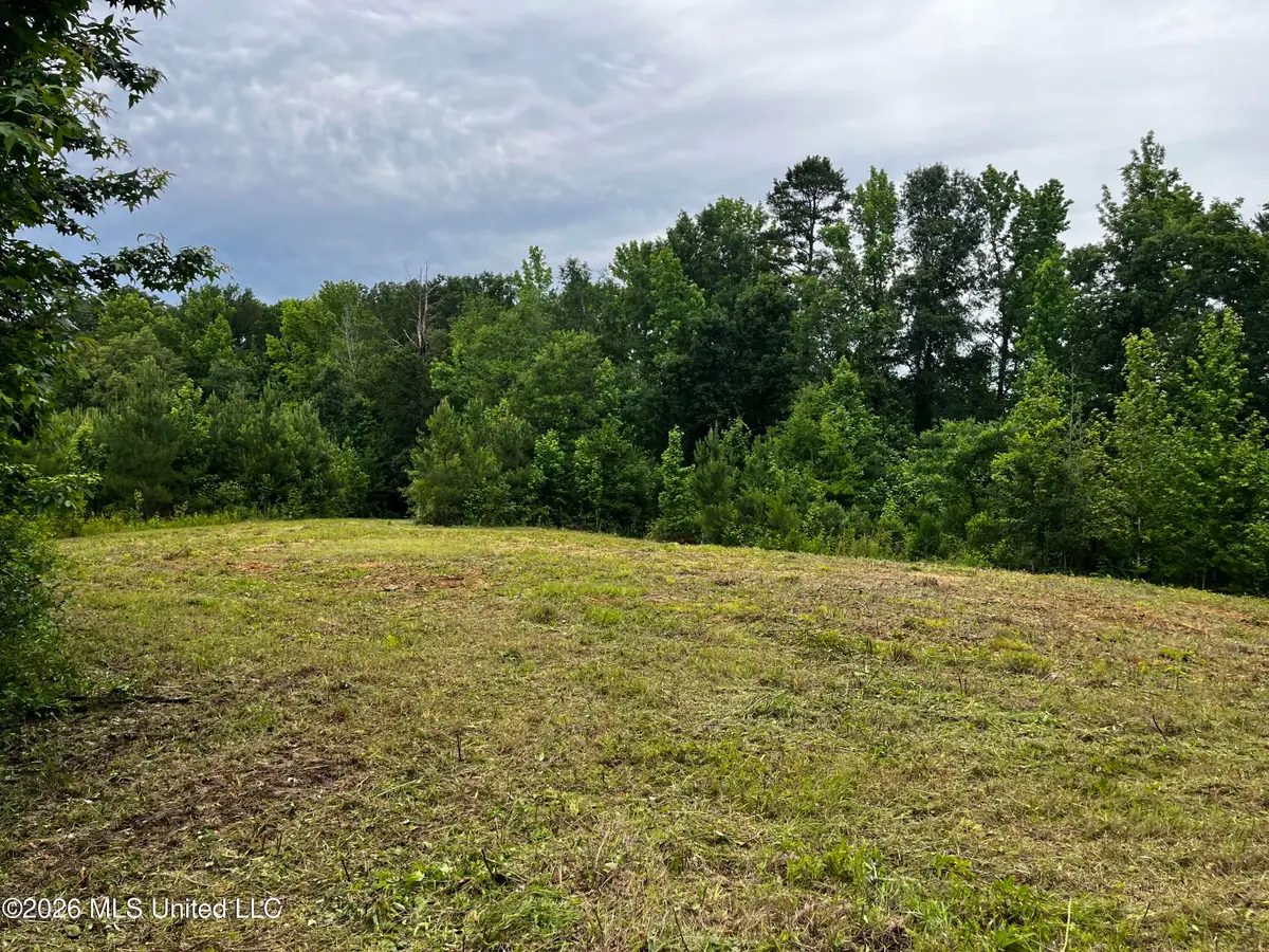 Cline Road, Wesson, MS 39191 - #1