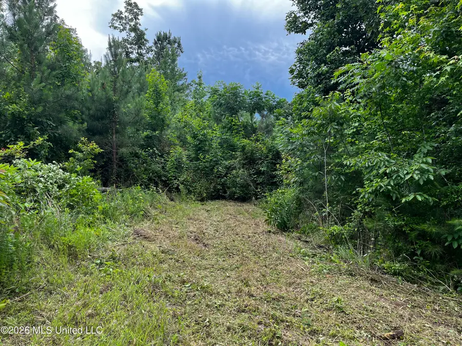 Cline Road, Wesson, MS 39191 - #2