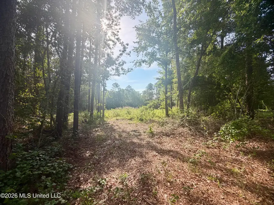 112 Pine Ridge Drive, Picayune, MS 39466 - #2