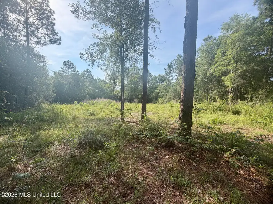 112 Pine Ridge Drive, Picayune, MS 39466 - #3