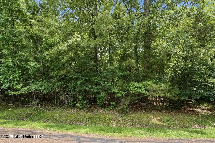 0 Dover Lane, Madison, MS 39110 - #2