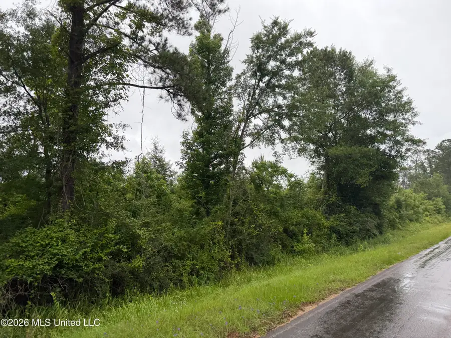 N River Road, Summit, MS 39666 - #2