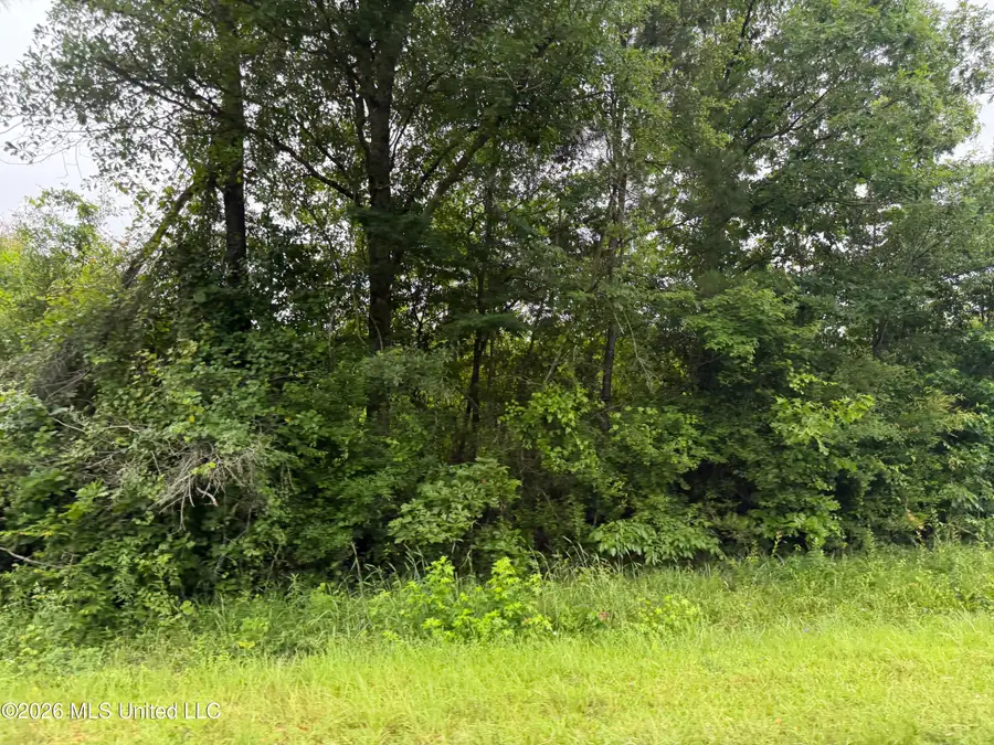 N River Road, Summit, MS 39666 - #3