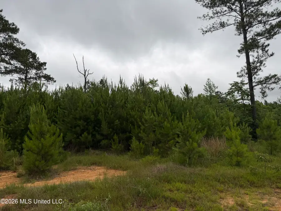 Shell Oil Road, Summit, MS 39666 - #2
