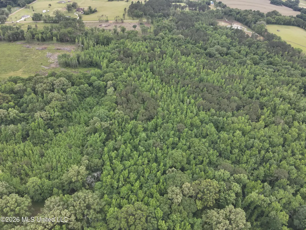 0 Dampeer Road, Canton, MS 39046 - #1