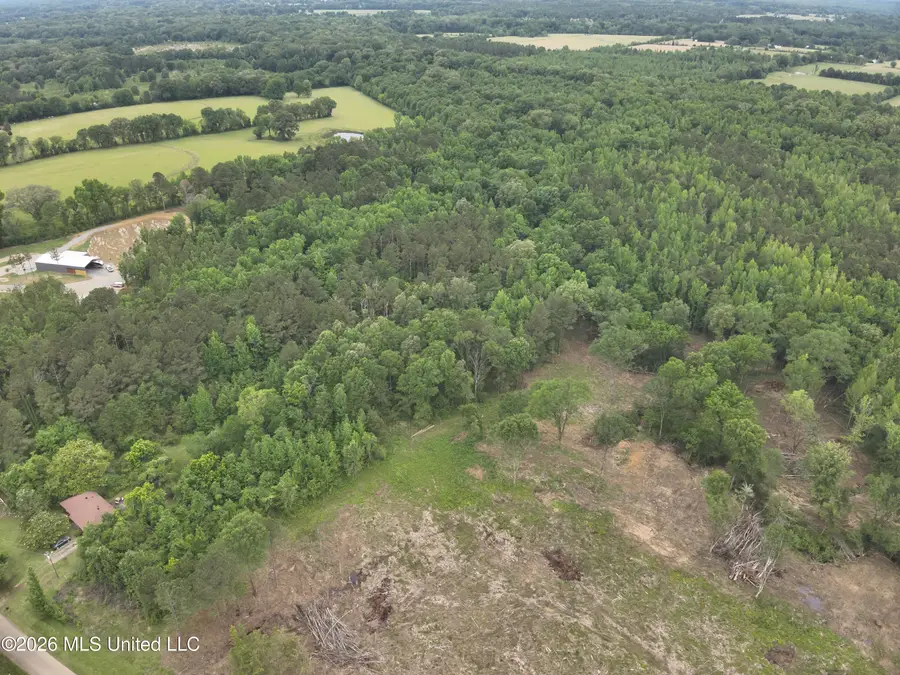 0 Dampeer Road, Canton, MS 39046 - #3