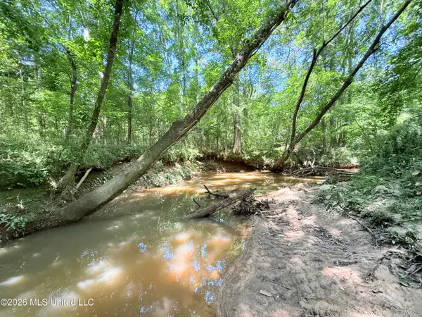 Jackson Liberty Drive, Smithdale, MS 39664