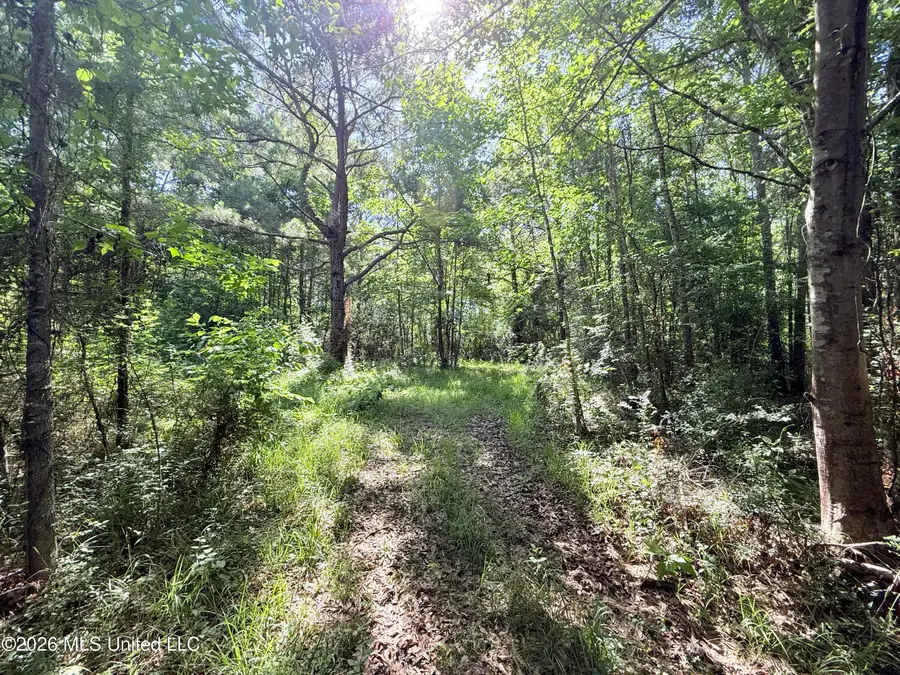 Jackson Liberty Drive, Smithdale, MS 39664 - #2