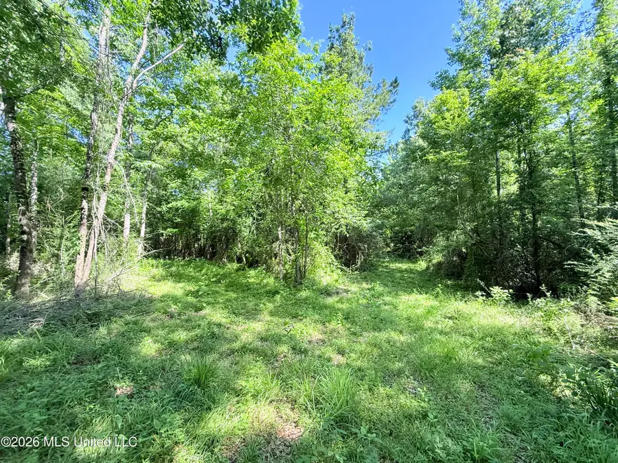 Jackson Liberty Drive, Smithdale, MS 39664 - #3