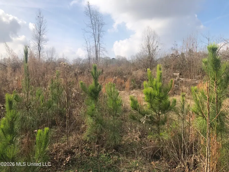 Tommy Ford Road, Utica, MS 39175 - #3