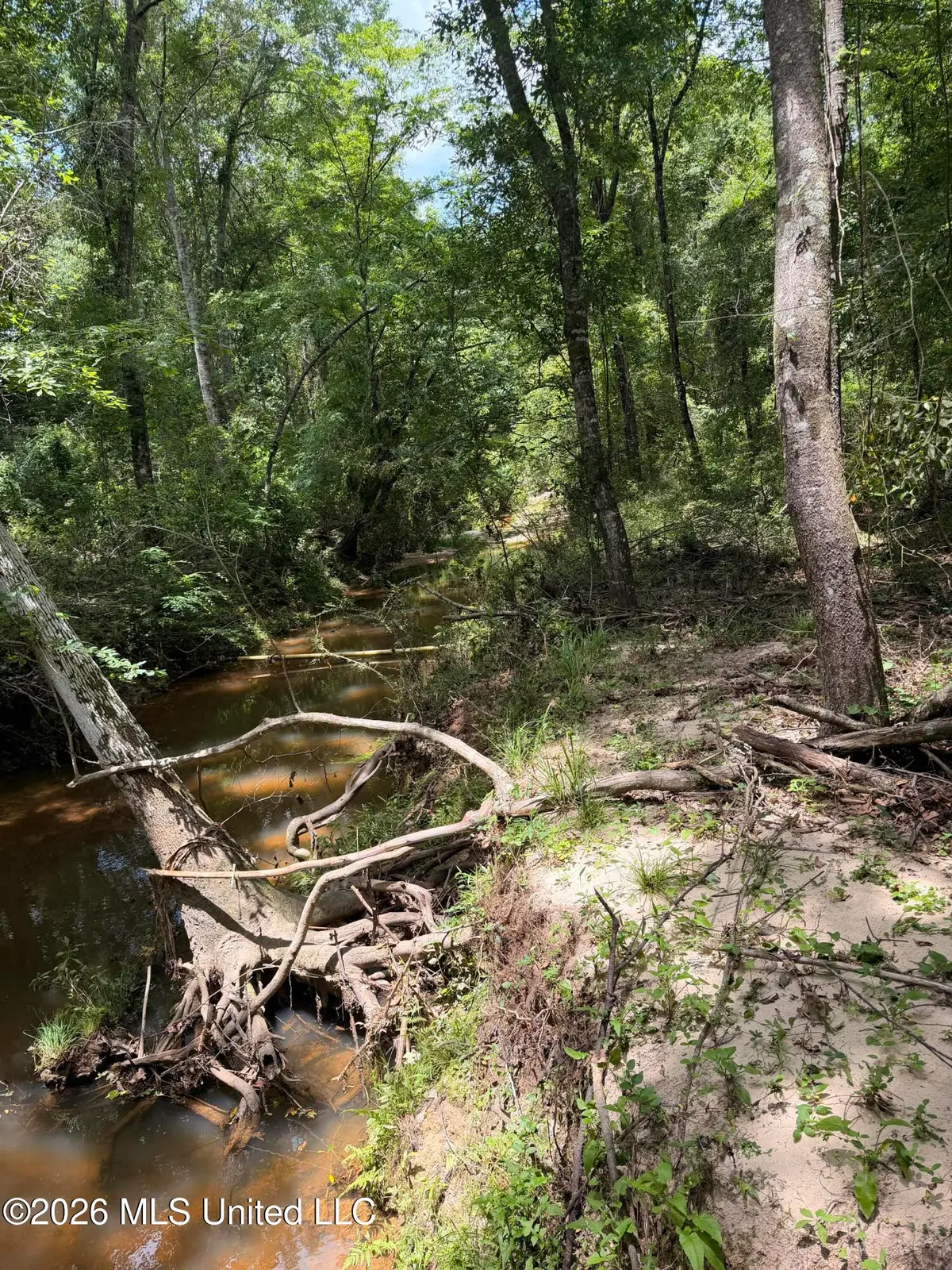 River Road, Liberty, MS 39645 - #1