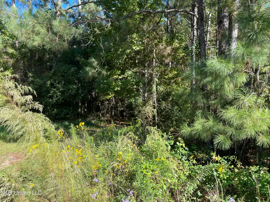 0 Timberlane Road, Picayune, MS 39466 - #2