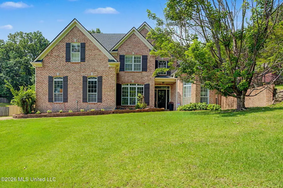 6191 Spring Crossing, Olive Branch, MS 38654 - #3