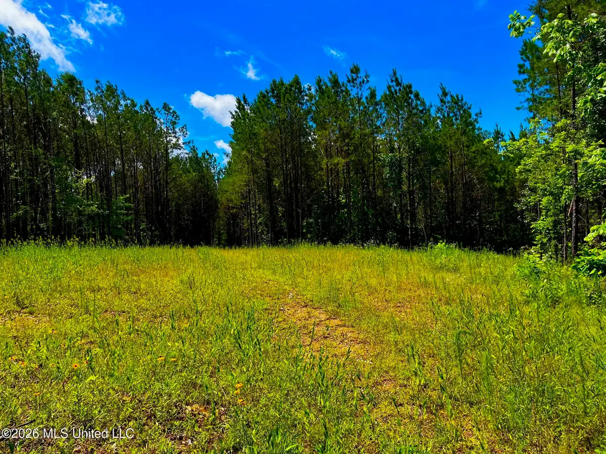 Arthur Drive, Brookhaven, MS 39601 - #1