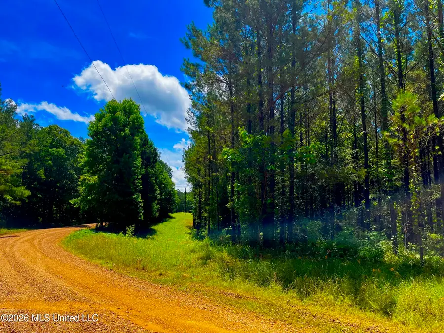 Arthur Drive, Brookhaven, MS 39601 - #2