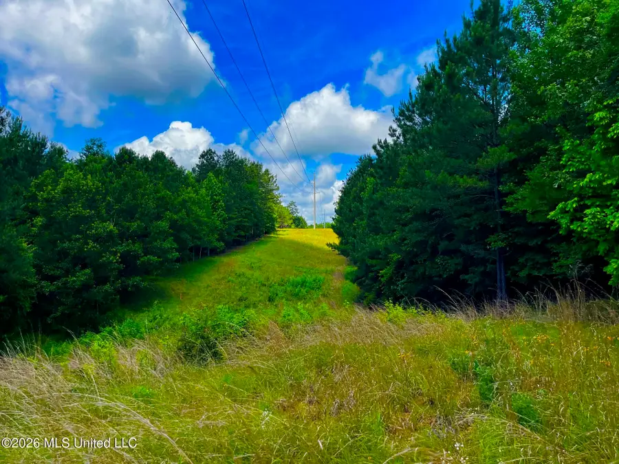 Arthur Drive, Brookhaven, MS 39601 - #3